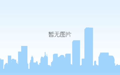 项目指导